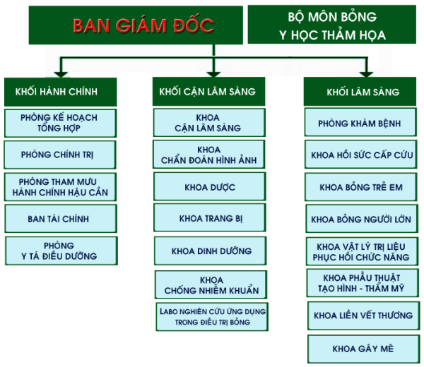 Sơ đồ tổ chức Viện Bỏng Quốc gia