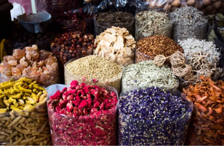 cách chữa sỏi mật bằng thảo dược Đông y