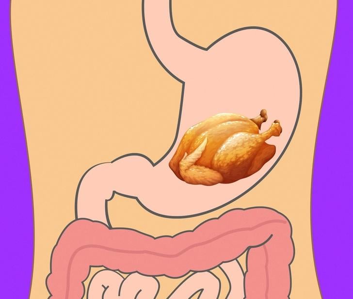 thời gian tiêu hóa của các loại thực phẩm