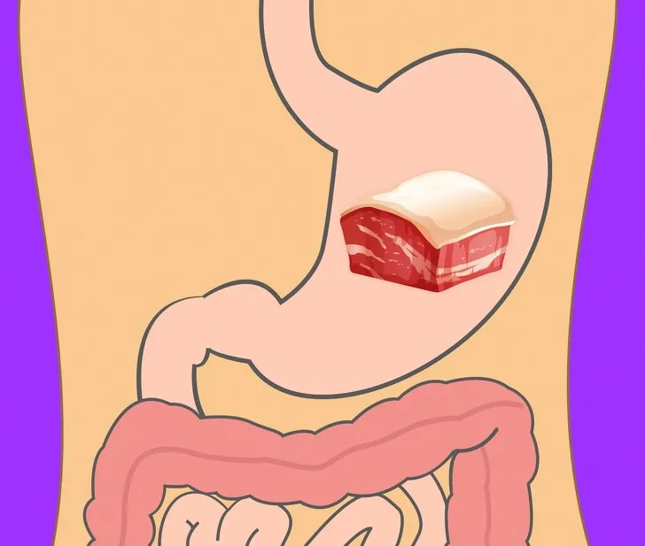 thời gian tiêu hóa của các loại thực phẩm