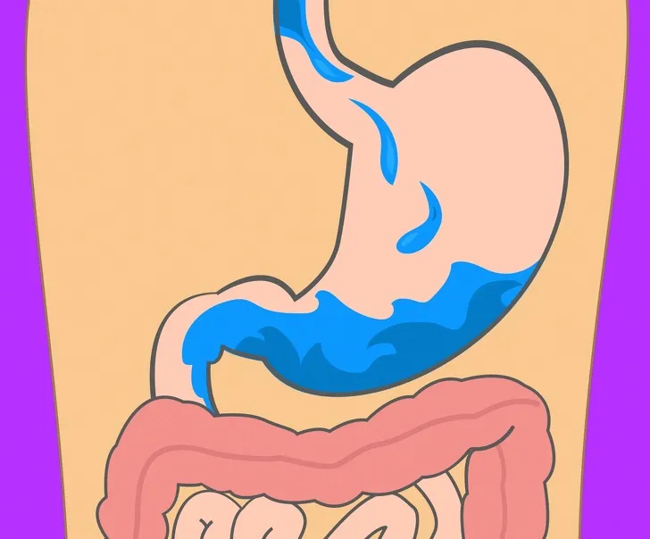 thời gian tiêu hóa của các loại thực phẩm