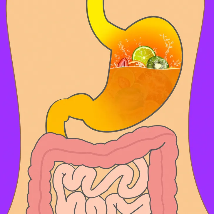 thời gian tiêu hóa của các loại thực phẩm