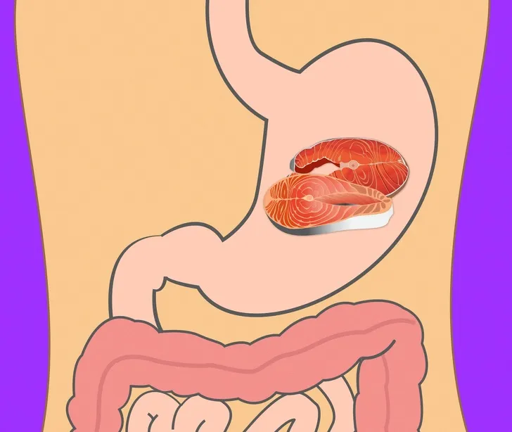 thời gian tiêu hóa của các loại thực phẩm