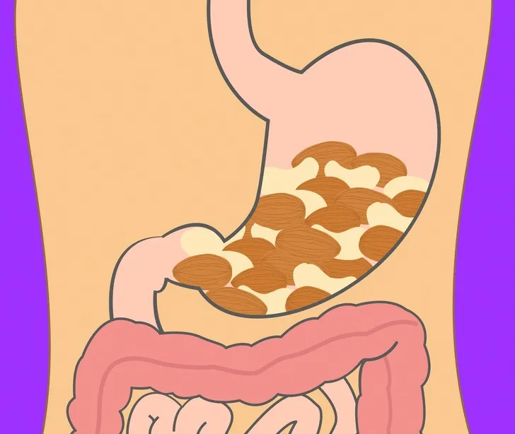 thời gian tiêu hóa của các loại thực phẩm