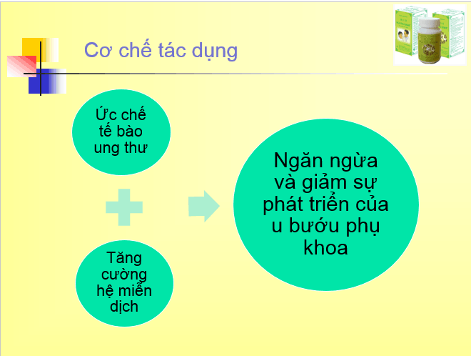 Cơ chế tác dụng của Nga Phụ Khang trong hỗ trợ điều trị u nang buồng trứng, u xơ tử cung: