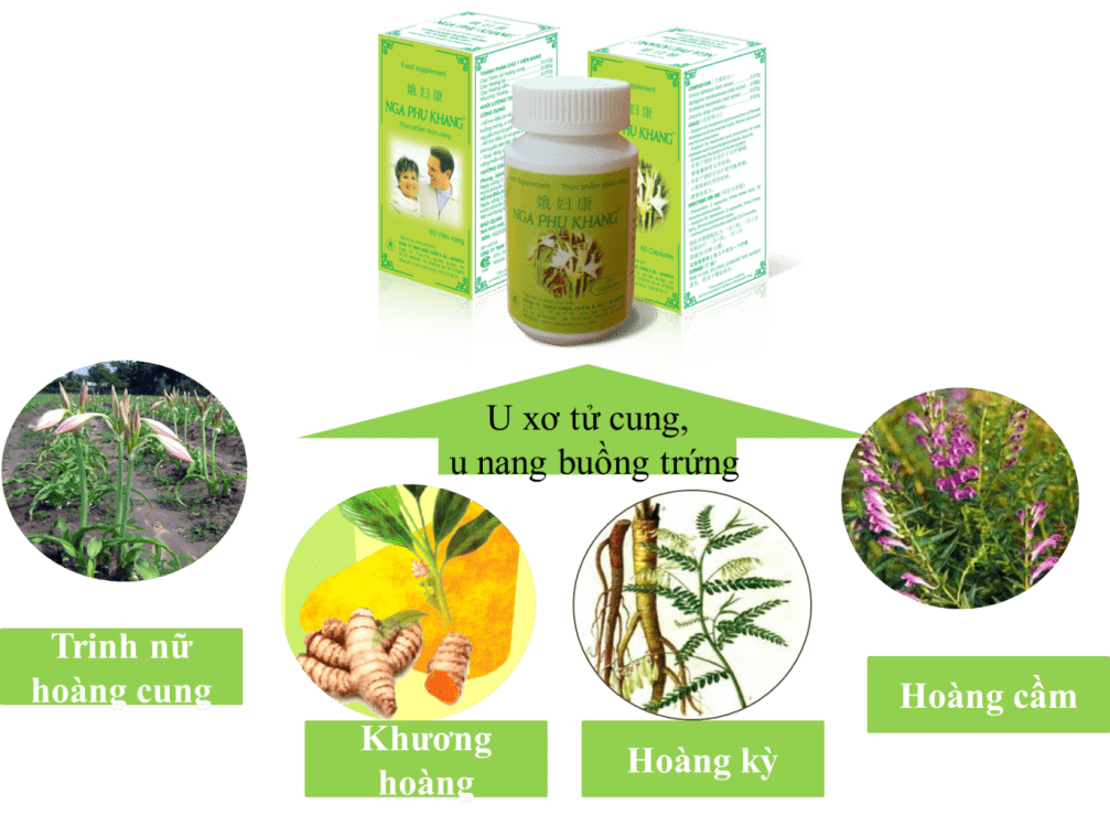 Thực phẩm bảo vệ sức khỏe Nga Phụ Khang đã được nghiên cứu khoa học cho thấy hiệu quả tốt với người mắc u xơ tử cung, u nang buồng trứng