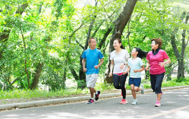 Cách điều trị sỏi bùn túi mật