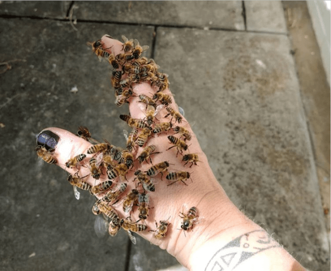 cách làm đẹp kinh dị