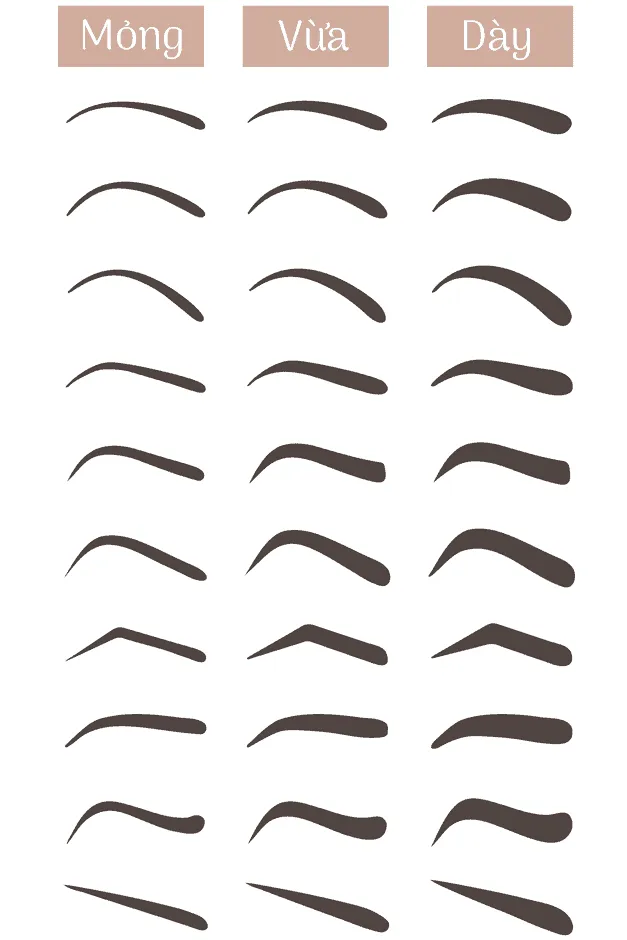 Các dáng chân mày