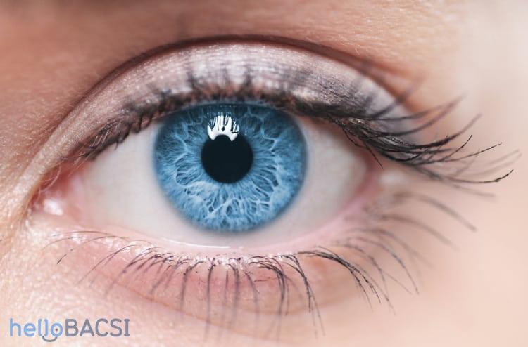 Giấc mơ của người khiếm thị