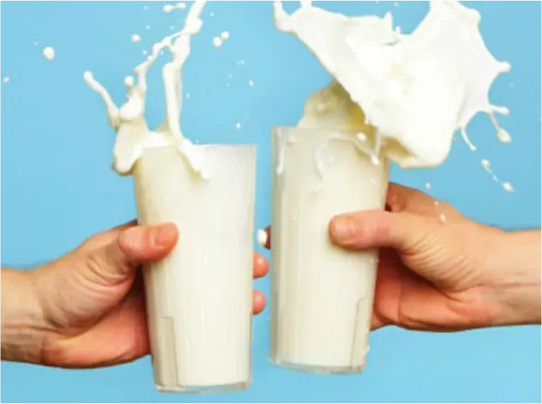 Dinh dưỡng cho người ghép thận 4