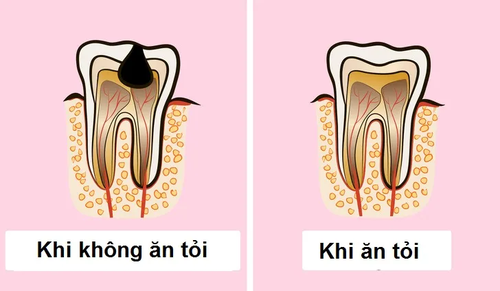 ăn tỏi mỗi ngày