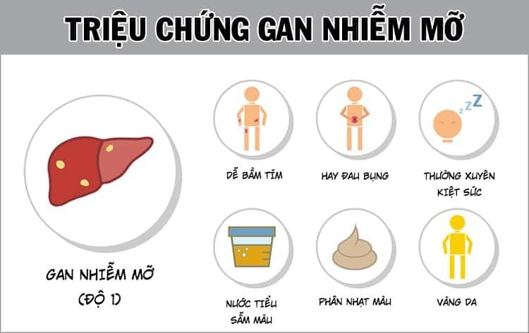 Triệu chứng gan nhiễm mỡ