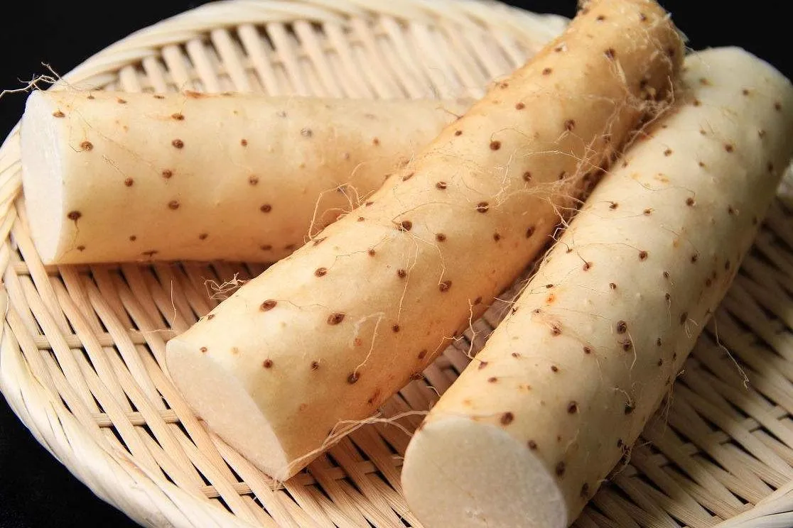 tác dụng của củ từ