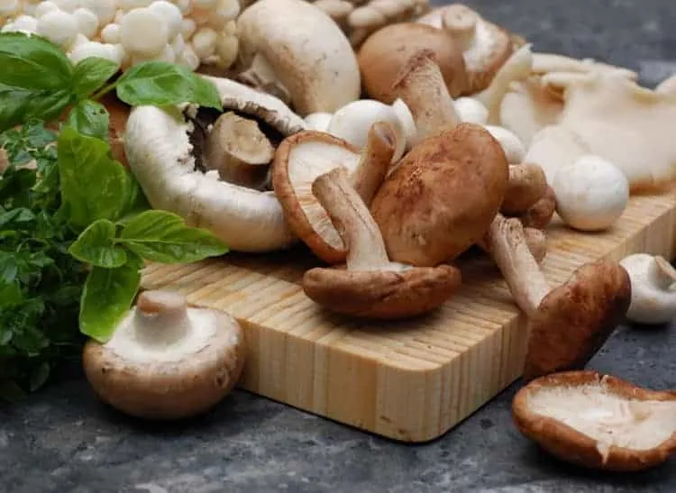 tác dụng của nấm