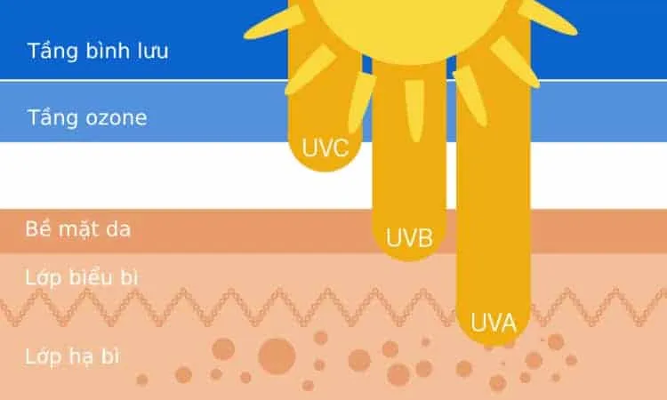 Phân biệt các loại tia UV