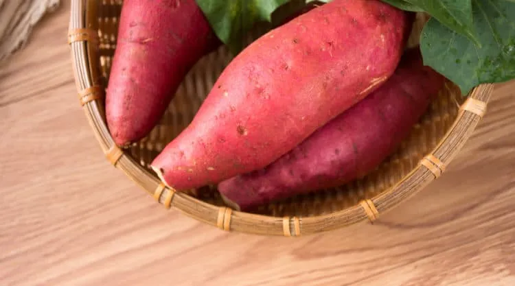 Tiểu đường nên ăn gì thay cơm? Khoai lang