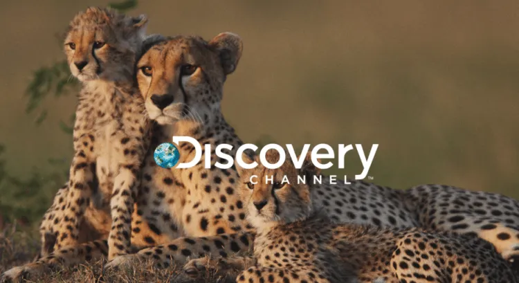 kênh truyền hình