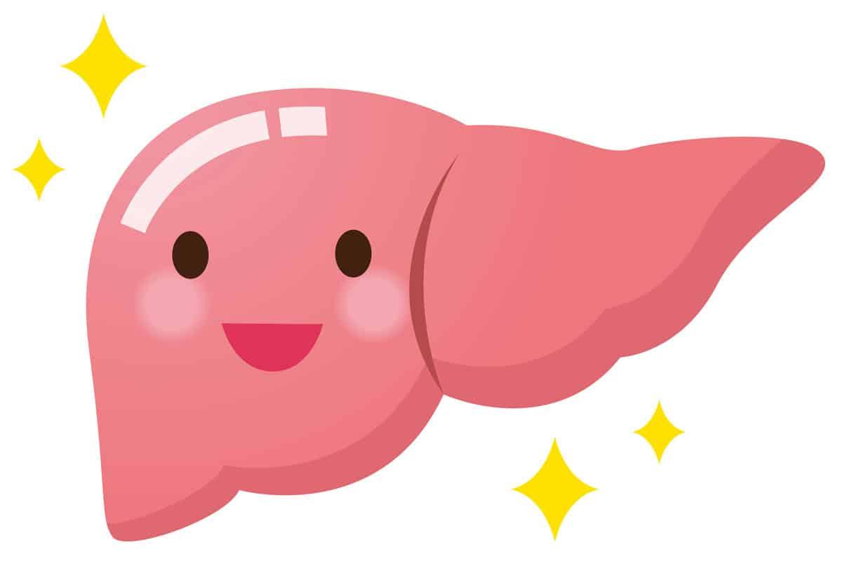 Duy trì chức năng của gan