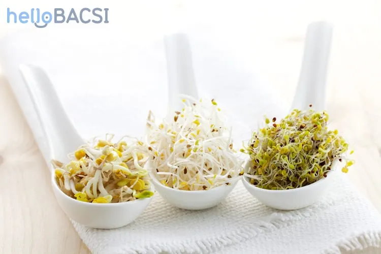 tác dụng của rau mầm