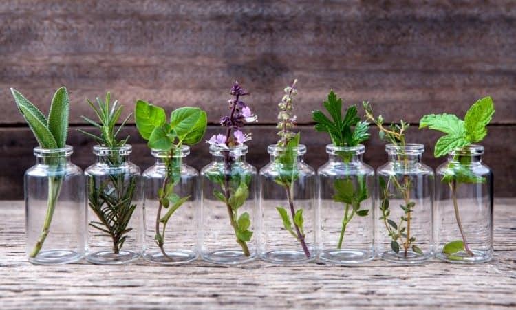 dĩ độc trị độc