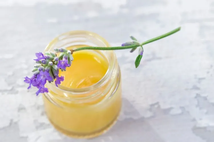 Sữa ong chúa có tác dụng gì