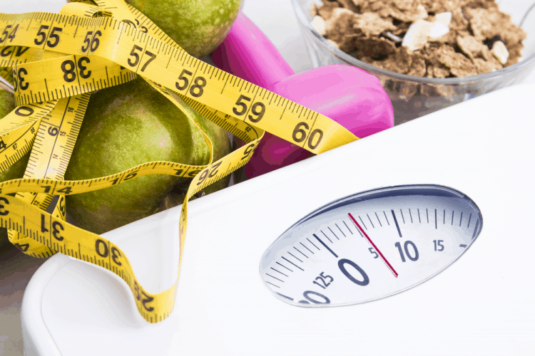 tĩnh mạch mạng nhện