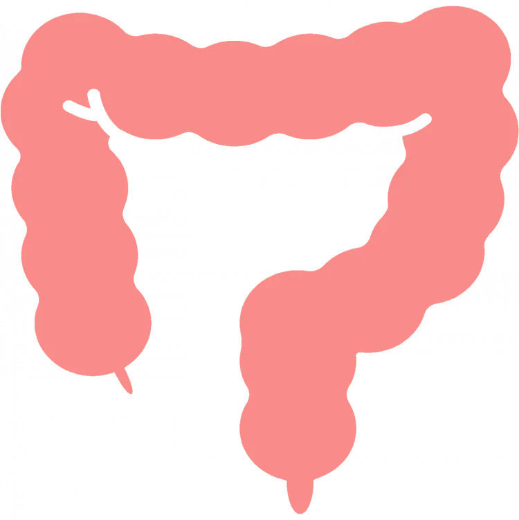 bệnh đường ruột