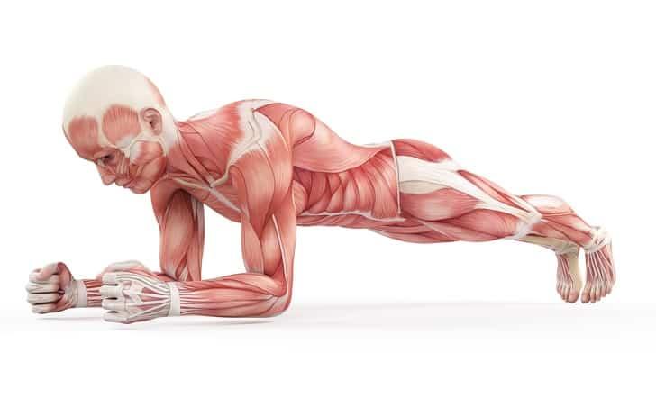 Bài tập Plank cơ bản