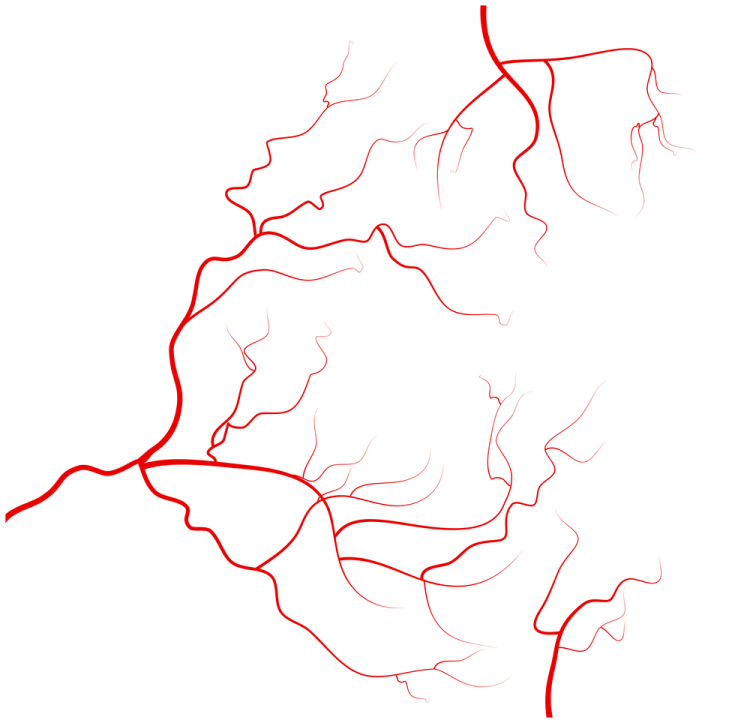 các vấn đề về mắt 2