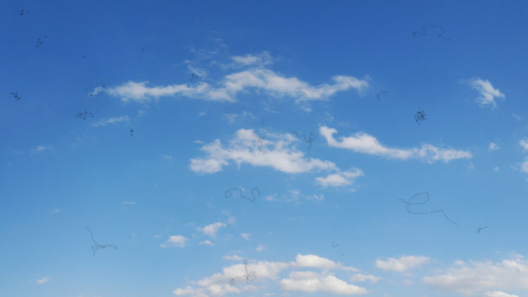 các vấn đề về mắt 3