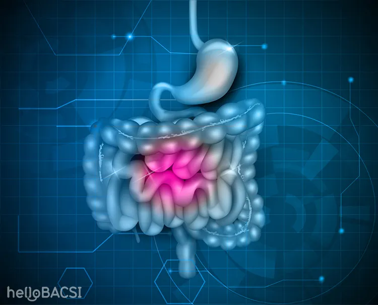 Dấu hiệu đau dạ dày