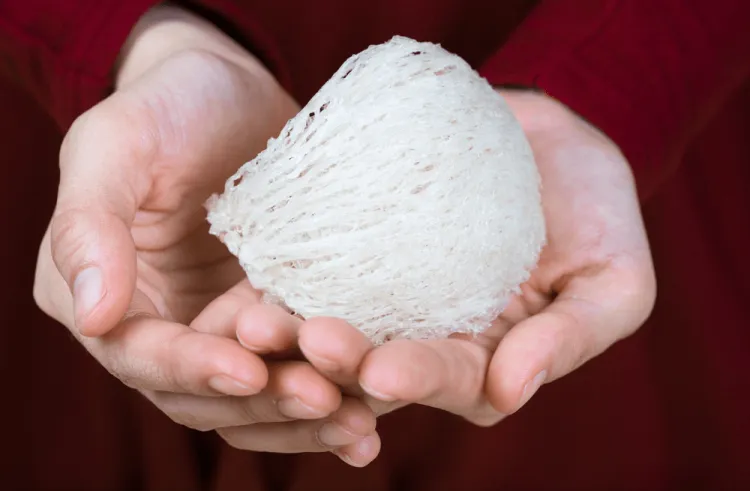 Những tác dụng của yến sào đối với sức khỏe