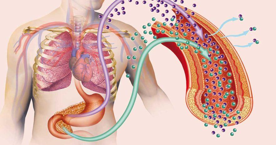 Chướng bụng đầy hơi 4