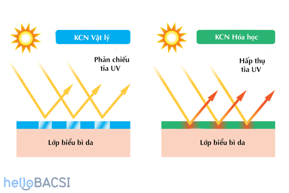 phân biệt kem chống nắng vật lý và hóa học