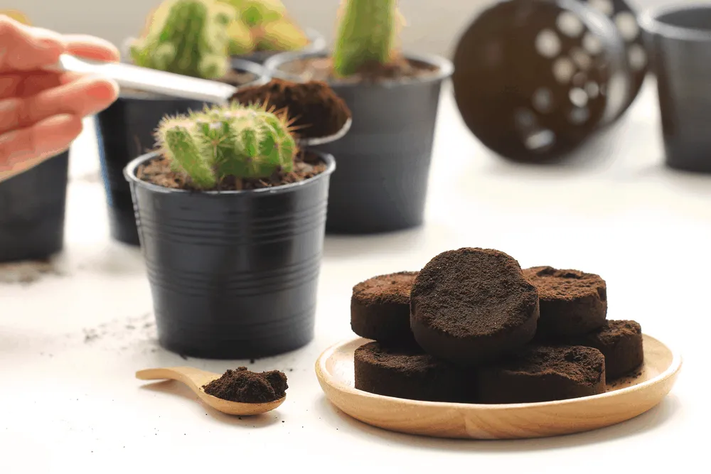 dưỡng tóc bằng cà phê