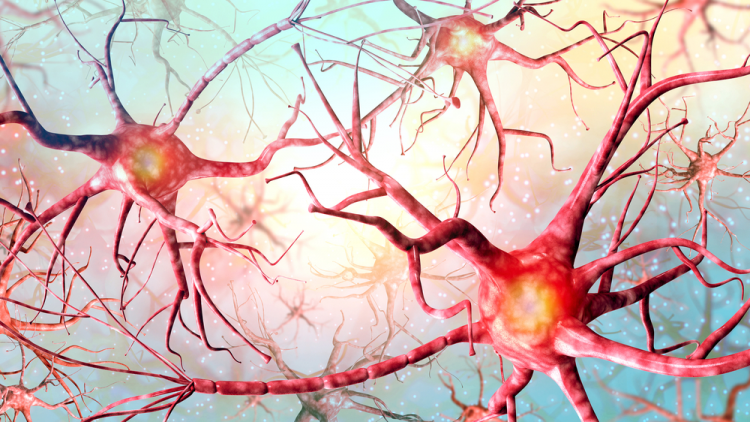 lợi ích của low carb 2