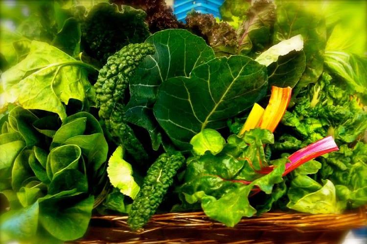 phòng ngừa bạch biến