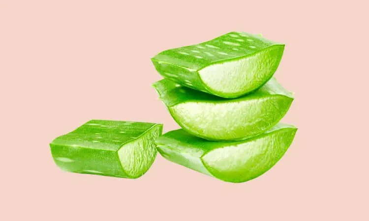 nha đam dưỡng ẩm cho da khô