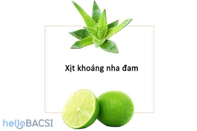 công thức làm xịt khoáng nha đam