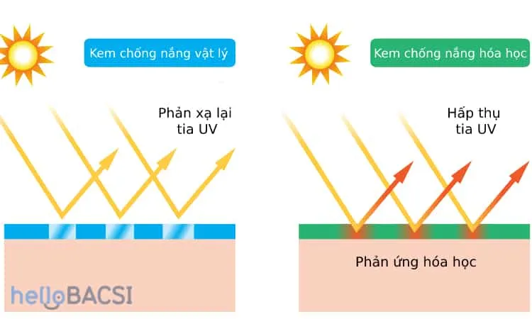 Kem chống nắng vật lý hay kem chống nắng hoá học?