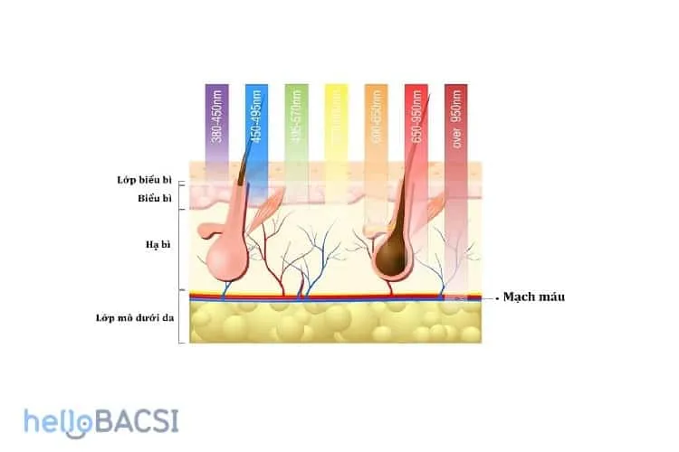 Mức độ tác động của ánh sáng sinh học lên làn da