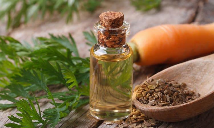 Tinh dầu hạt cà rốt 