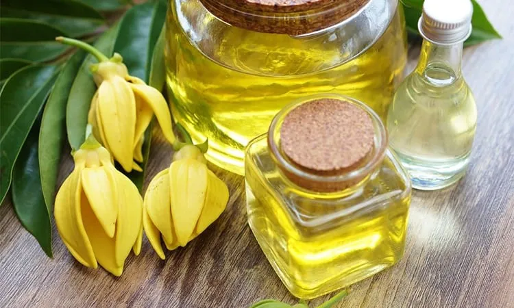 Xoá bỏ nếp nhăn với tinh dầu hoàng lan