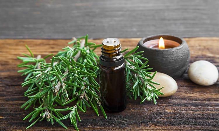 Làm giảm nếp nhăn với tinh dầu hương thảo