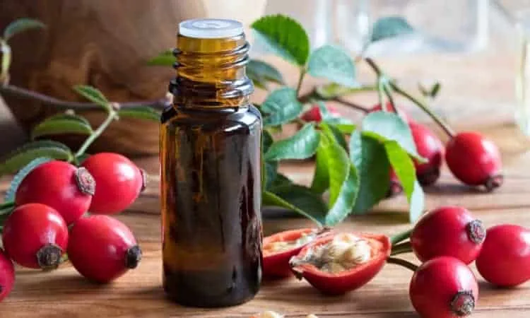 tinh dầu nụ tầm xuân và trầm hương trị sẹo