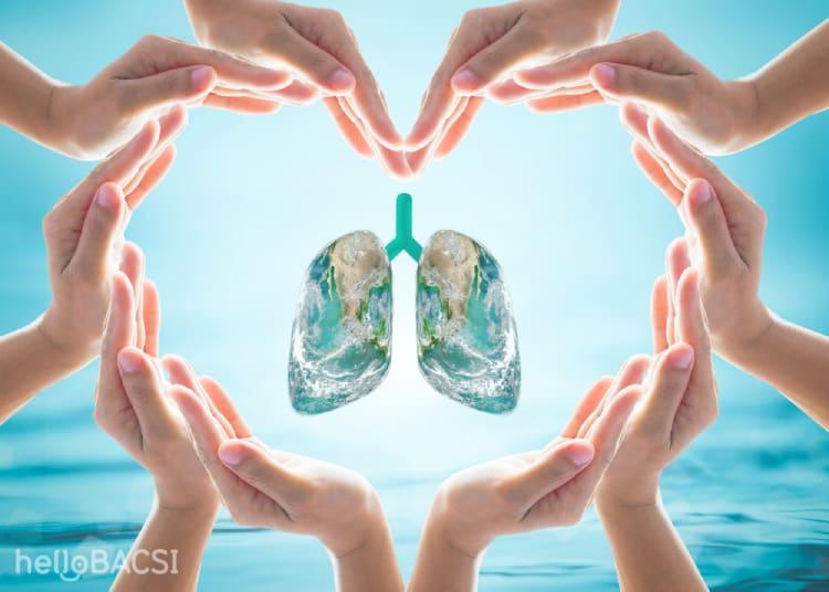 hen phế quản mãn tính