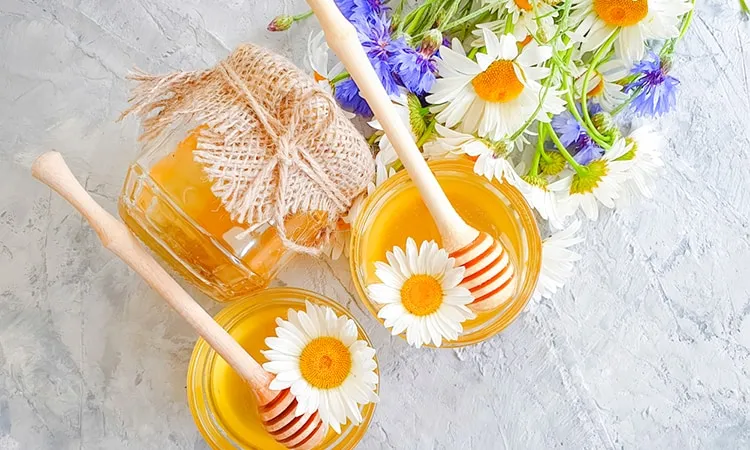 cách dưỡng ẩm cho da khô bằng mật ong và hoa cúc