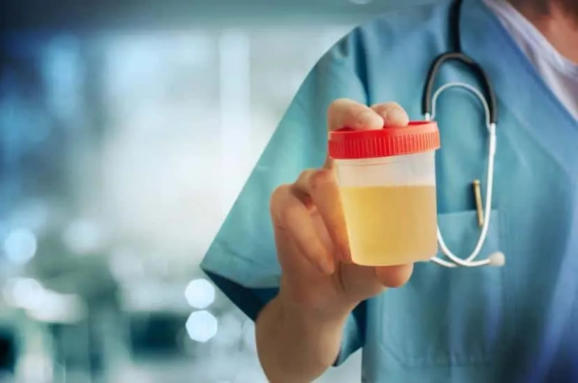 Cách chữa nước tiểu có bọt