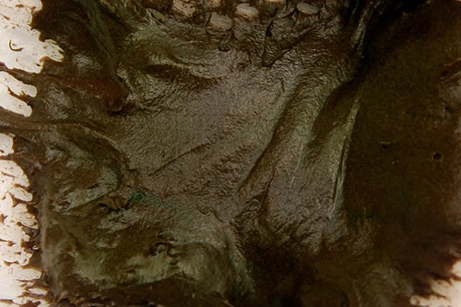 Phân màu xanh đen và dính